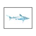 Picture of Blue Splash Shark II _GroupedProduct_Rectangle_Landscape_Mini_ _GroupedProduct_Rectangle_Landscape_Canvas_Framed_