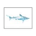 Picture of Blue Splash Shark II _GroupedProduct_Rectangle_Landscape_Mini_ _GroupedProduct_Rectangle_Landscape_Canvas_Framed_