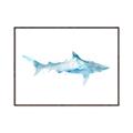 Picture of Blue Splash Shark II _GroupedProduct_Rectangle_Landscape_Mini_ _GroupedProduct_Rectangle_Landscape_Canvas_Framed_