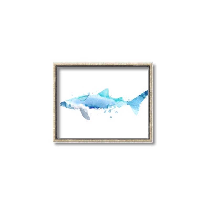 Picture of Blue Splash Shark III _GroupedProduct_Rectangle_Landscape_Mini_ _GroupedProduct_Rectangle_Landscape_Canvas_Framed_