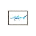 Picture of Blue Splash Shark III _GroupedProduct_Rectangle_Landscape_Mini_ _GroupedProduct_Rectangle_Landscape_Canvas_Framed_