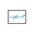 Picture of Blue Splash Shark III _GroupedProduct_Rectangle_Landscape_Mini_ _GroupedProduct_Rectangle_Landscape_Canvas_Framed_
