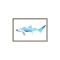 Picture of Blue Splash Shark III _GroupedProduct_Rectangle_Landscape_Mini_ _GroupedProduct_Rectangle_Landscape_Canvas_Framed_