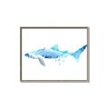 Picture of Blue Splash Shark III _GroupedProduct_Rectangle_Landscape_Mini_ _GroupedProduct_Rectangle_Landscape_Canvas_Framed_