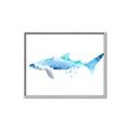 Picture of Blue Splash Shark III _GroupedProduct_Rectangle_Landscape_Mini_ _GroupedProduct_Rectangle_Landscape_Canvas_Framed_