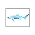 Picture of Blue Splash Shark III _GroupedProduct_Rectangle_Landscape_Mini_ _GroupedProduct_Rectangle_Landscape_Canvas_Framed_