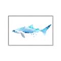 Picture of Blue Splash Shark III _GroupedProduct_Rectangle_Landscape_Mini_ _GroupedProduct_Rectangle_Landscape_Canvas_Framed_