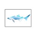 Picture of Blue Splash Shark III _GroupedProduct_Rectangle_Landscape_Mini_ _GroupedProduct_Rectangle_Landscape_Canvas_Framed_