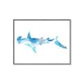 Picture of Blue Splash Shark IV _GroupedProduct_Rectangle_Landscape_Mini_ _GroupedProduct_Rectangle_Landscape_Canvas_Framed_