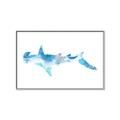 Picture of Blue Splash Shark IV _GroupedProduct_Rectangle_Landscape_Mini_ _GroupedProduct_Rectangle_Landscape_Canvas_Framed_