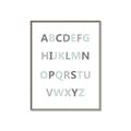 Picture of Mint Alphabet I _GroupedProduct_Rectangle_Portrait_Mini_ _GroupedProduct_Rectangle_Portrait_Canvas_Framed_