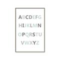 Picture of Mint Alphabet I _GroupedProduct_Rectangle_Portrait_Mini_ _GroupedProduct_Rectangle_Portrait_Canvas_Framed_