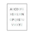 Picture of Mint Alphabet I _GroupedProduct_Rectangle_Portrait_Mini_ _GroupedProduct_Rectangle_Portrait_Canvas_Framed_