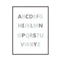 Picture of Mint Alphabet I _GroupedProduct_Rectangle_Portrait_Mini_ _GroupedProduct_Rectangle_Portrait_Canvas_Framed_