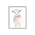 Picture of Baby Sheep Front _GroupedProduct_Rectangle_Portrait_Mini_ _GroupedProduct_Rectangle_Portrait_Canvas_Framed_