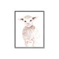Picture of Baby Sheep Front _GroupedProduct_Rectangle_Portrait_Mini_ _GroupedProduct_Rectangle_Portrait_Canvas_Framed_
