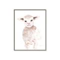 Picture of Baby Sheep Front _GroupedProduct_Rectangle_Portrait_Mini_ _GroupedProduct_Rectangle_Portrait_Canvas_Framed_