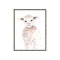 Picture of Baby Sheep Front _GroupedProduct_Rectangle_Portrait_Mini_ _GroupedProduct_Rectangle_Portrait_Canvas_Framed_