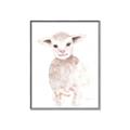 Picture of Baby Sheep Front _GroupedProduct_Rectangle_Portrait_Mini_ _GroupedProduct_Rectangle_Portrait_Canvas_Framed_