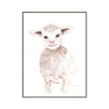 Picture of Baby Sheep Front _GroupedProduct_Rectangle_Portrait_Mini_ _GroupedProduct_Rectangle_Portrait_Canvas_Framed_