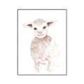 Picture of Baby Sheep Front _GroupedProduct_Rectangle_Portrait_Mini_ _GroupedProduct_Rectangle_Portrait_Canvas_Framed_