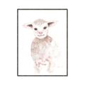Picture of Baby Sheep Front _GroupedProduct_Rectangle_Portrait_Mini_ _GroupedProduct_Rectangle_Portrait_Canvas_Framed_