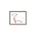 Picture of Baby Sheep Side  _GroupedProduct_Rectangle_Landscape_Mini_ _GroupedProduct_Rectangle_Landscape_Canvas_Framed_