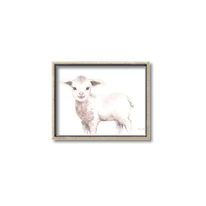 Picture of Baby Sheep Side  _GroupedProduct_Rectangle_Landscape_Mini_ _GroupedProduct_Rectangle_Landscape_Canvas_Framed_