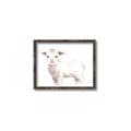 Picture of Baby Sheep Side  _GroupedProduct_Rectangle_Landscape_Mini_ _GroupedProduct_Rectangle_Landscape_Canvas_Framed_