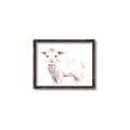 Picture of Baby Sheep Side  _GroupedProduct_Rectangle_Landscape_Mini_ _GroupedProduct_Rectangle_Landscape_Canvas_Framed_