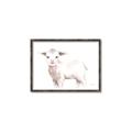 Picture of Baby Sheep Side  _GroupedProduct_Rectangle_Landscape_Mini_ _GroupedProduct_Rectangle_Landscape_Canvas_Framed_