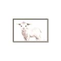 Picture of Baby Sheep Side  _GroupedProduct_Rectangle_Landscape_Mini_ _GroupedProduct_Rectangle_Landscape_Canvas_Framed_