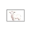Picture of Baby Sheep Side  _GroupedProduct_Rectangle_Landscape_Mini_ _GroupedProduct_Rectangle_Landscape_Canvas_Framed_