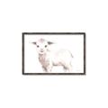 Picture of Baby Sheep Side  _GroupedProduct_Rectangle_Landscape_Mini_ _GroupedProduct_Rectangle_Landscape_Canvas_Framed_