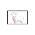 Picture of Baby Sheep Side  _GroupedProduct_Rectangle_Landscape_Mini_ _GroupedProduct_Rectangle_Landscape_Canvas_Framed_