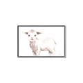 Picture of Baby Sheep Side  _GroupedProduct_Rectangle_Landscape_Mini_ _GroupedProduct_Rectangle_Landscape_Canvas_Framed_