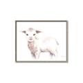 Picture of Baby Sheep Side  _GroupedProduct_Rectangle_Landscape_Mini_ _GroupedProduct_Rectangle_Landscape_Canvas_Framed_