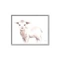 Picture of Baby Sheep Side  _GroupedProduct_Rectangle_Landscape_Mini_ _GroupedProduct_Rectangle_Landscape_Canvas_Framed_