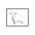Picture of Baby Sheep Side  _GroupedProduct_Rectangle_Landscape_Mini_ _GroupedProduct_Rectangle_Landscape_Canvas_Framed_