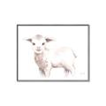 Picture of Baby Sheep Side  _GroupedProduct_Rectangle_Landscape_Mini_ _GroupedProduct_Rectangle_Landscape_Canvas_Framed_