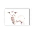Picture of Baby Sheep Side  _GroupedProduct_Rectangle_Landscape_Mini_ _GroupedProduct_Rectangle_Landscape_Canvas_Framed_