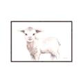 Picture of Baby Sheep Side  _GroupedProduct_Rectangle_Landscape_Mini_ _GroupedProduct_Rectangle_Landscape_Canvas_Framed_
