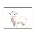 Picture of Baby Sheep Side  _GroupedProduct_Rectangle_Landscape_Mini_ _GroupedProduct_Rectangle_Landscape_Canvas_Framed_