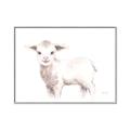 Picture of Baby Sheep Side  _GroupedProduct_Rectangle_Landscape_Mini_ _GroupedProduct_Rectangle_Landscape_Canvas_Framed_