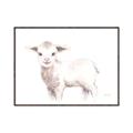 Picture of Baby Sheep Side  _GroupedProduct_Rectangle_Landscape_Mini_ _GroupedProduct_Rectangle_Landscape_Canvas_Framed_