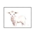 Picture of Baby Sheep Side  _GroupedProduct_Rectangle_Landscape_Mini_ _GroupedProduct_Rectangle_Landscape_Canvas_Framed_
