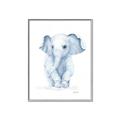 Picture of Baby Blue Elephant _GroupedProduct_Rectangle_Portrait_Mini_ _GroupedProduct_Rectangle_Portrait_Canvas_Framed_