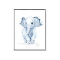 Picture of Baby Blue Elephant _GroupedProduct_Rectangle_Portrait_Mini_ _GroupedProduct_Rectangle_Portrait_Canvas_Framed_