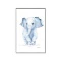 Picture of Baby Blue Elephant _GroupedProduct_Rectangle_Portrait_Mini_ _GroupedProduct_Rectangle_Portrait_Canvas_Framed_