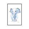 Picture of Baby Blue Elephant _GroupedProduct_Rectangle_Portrait_Mini_ _GroupedProduct_Rectangle_Portrait_Canvas_Framed_